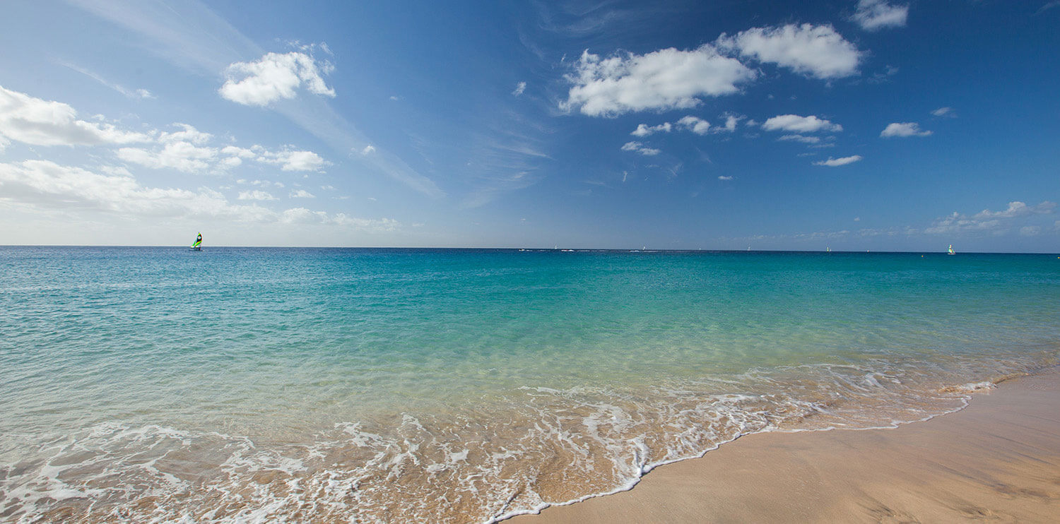  Vista a la playa de fuerteventura desde los hoteles Ifa Hotels and Resorts 